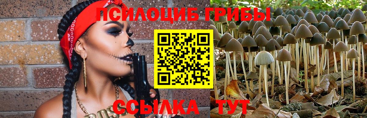 Кольчугино  Псилоцибиновые грибы Cubensis  продажа наркотиков  Псилоцибиновые грибы Magic Shrooms  Вход с VPN 