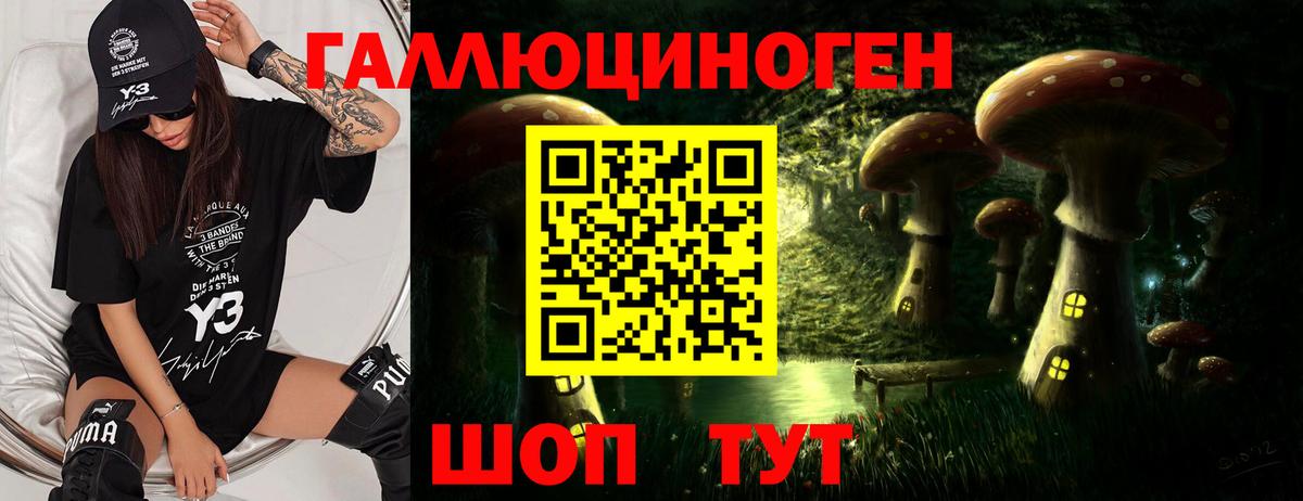 Галлюциногенные грибы Psilocybine cubensis Кольчугино